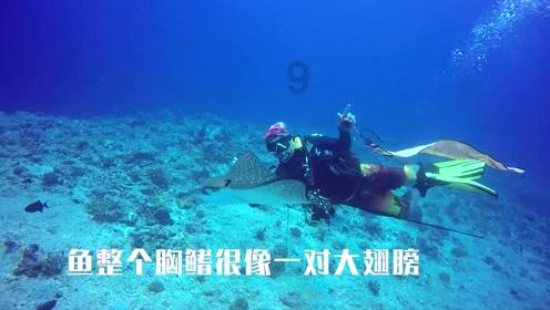 荒野行动Plus